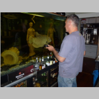 Feeding the fish.jpg